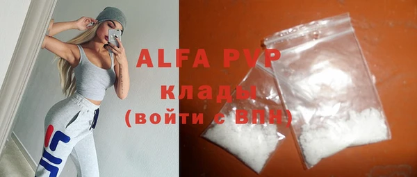 спиды Богданович