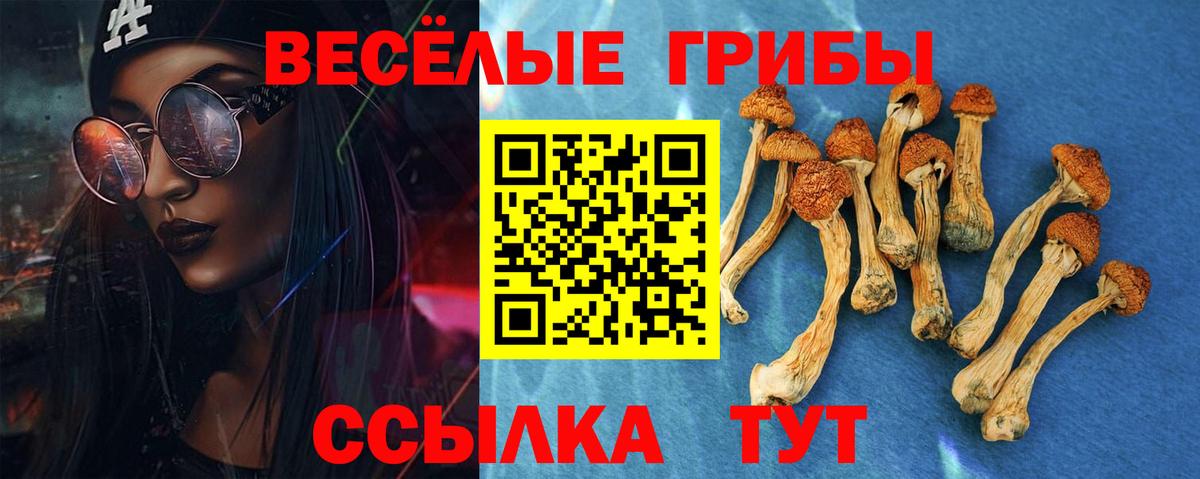 Галлюциногенные грибы Psilocybe  купить  цена  Верхняя Салда  Вход с VPN 