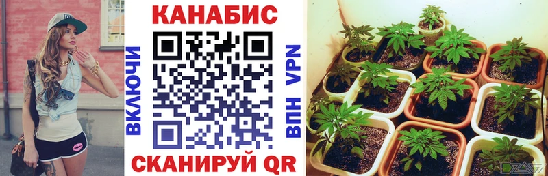 Бошки Шишки MAZAR  Верхняя Салда 