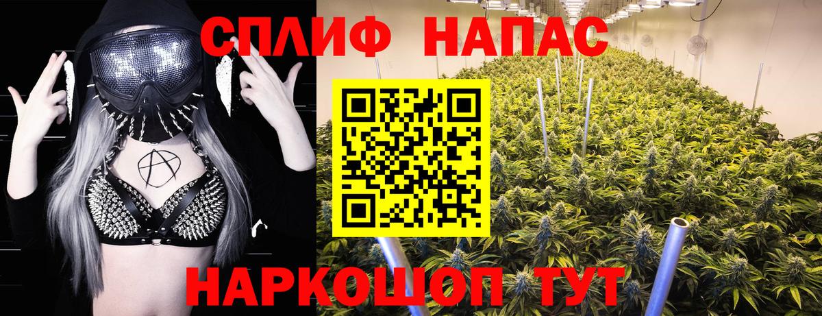 Шишки марихуана сатива  Бошки Шишки семена  Марихуана марихуана  Конопля индика  Вход с VPN  Верхняя Салда 
